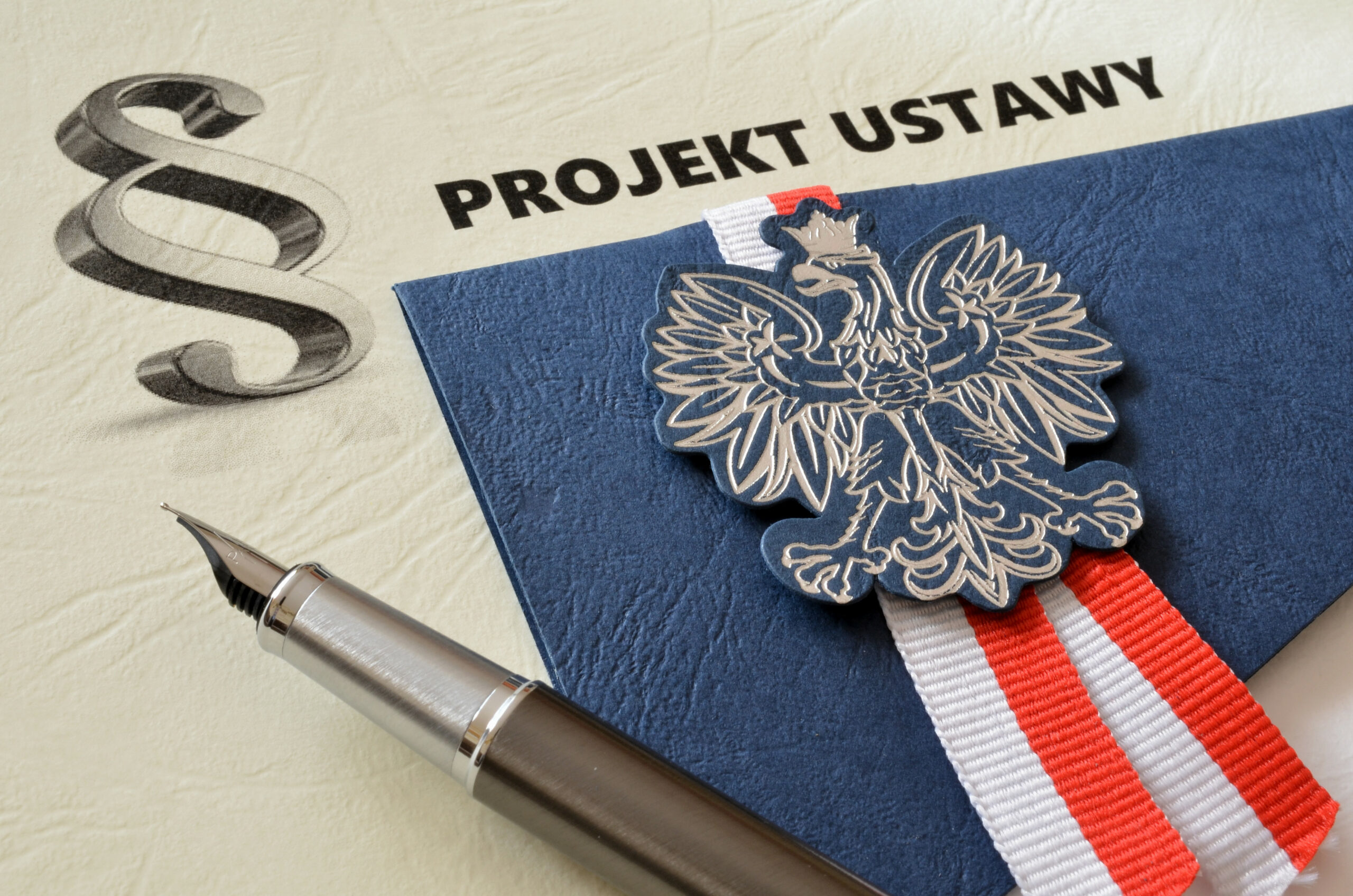 Uwagi dotyczące rządowego projektu ustawy o zmianie ustawy – Kodeks postępowania cywilnego oraz niektórych innych ustaw (Druk nr 2615)