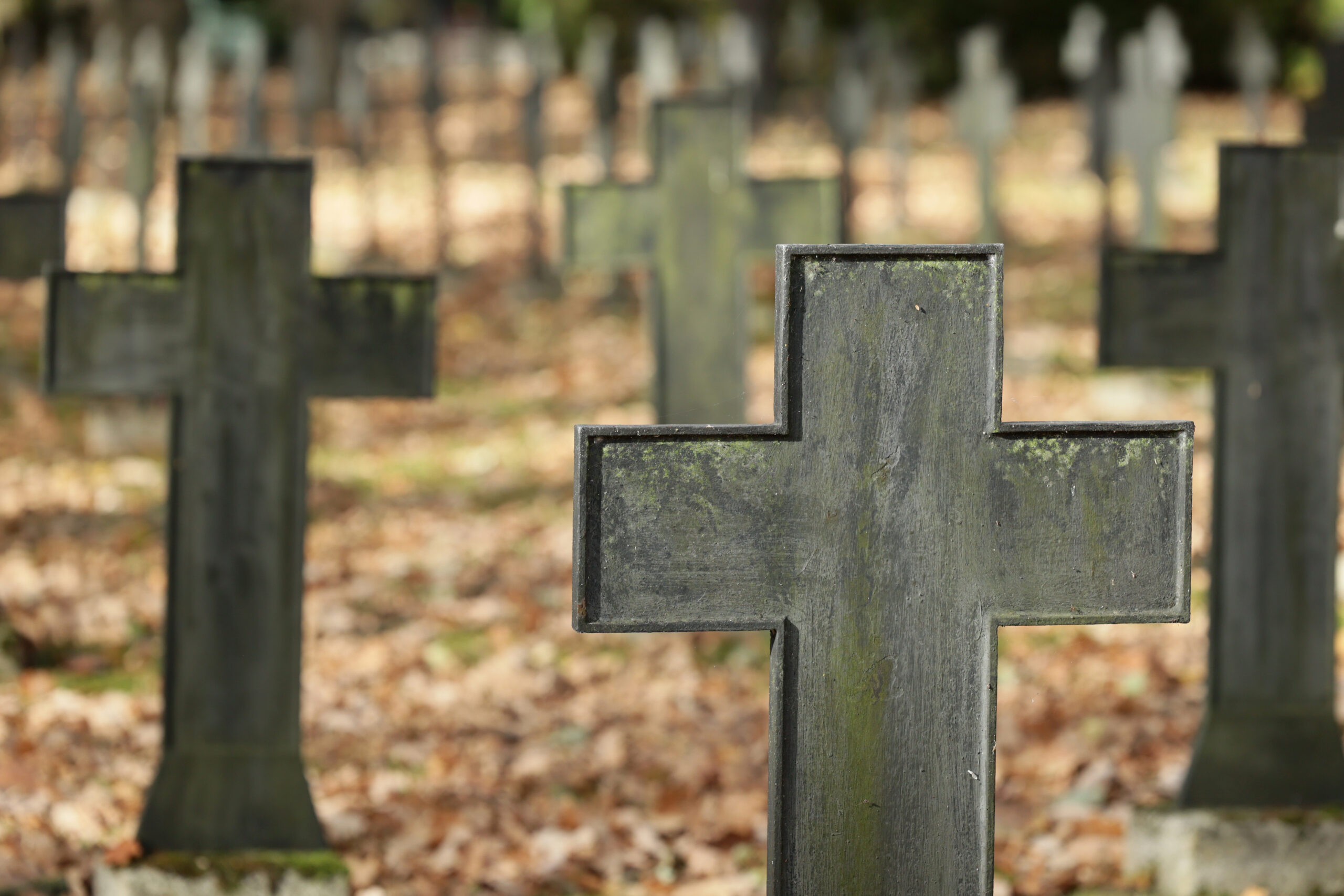 Paweł Tempczyk: Obywatelski projekt nowelizacji Kodeksu karnego – większa ochrona wykonywania aktów religijnych