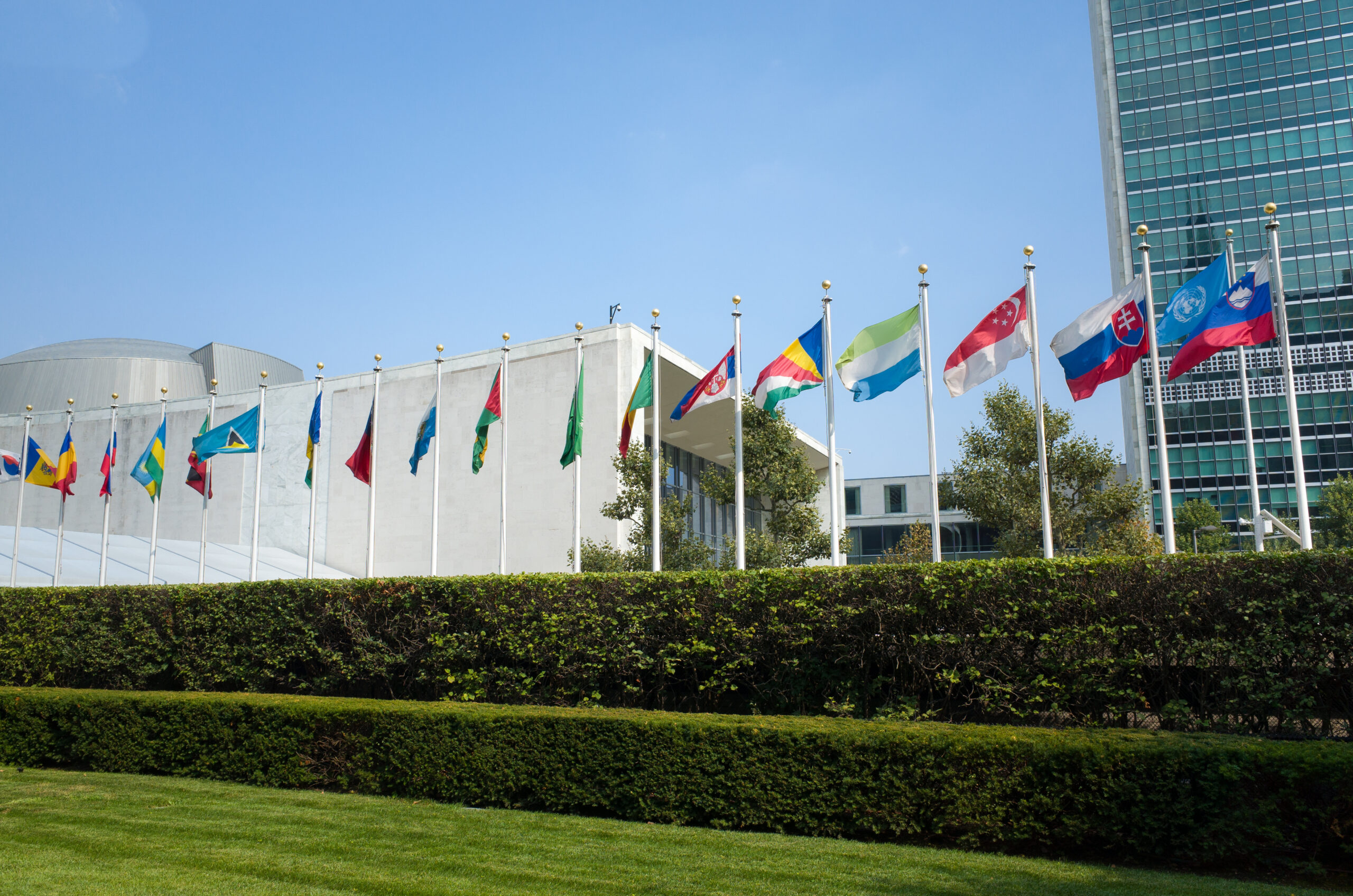 UN General Assembly: vote on resolution promoting abortion as a human right