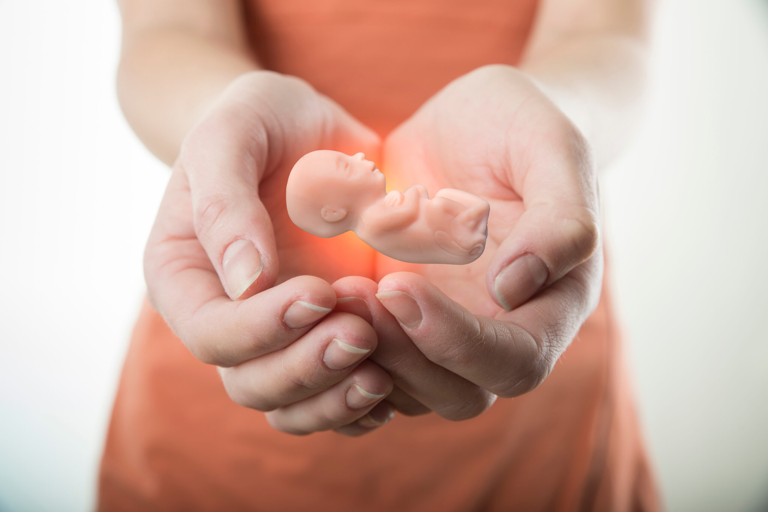 The Constitutional Tribunal judgment concerning the eugenic abortion