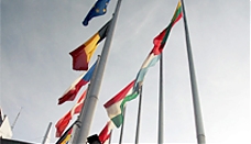 Estrela report rejected: Massive popular protest wins over well-funded lobby groups at the European Parliament