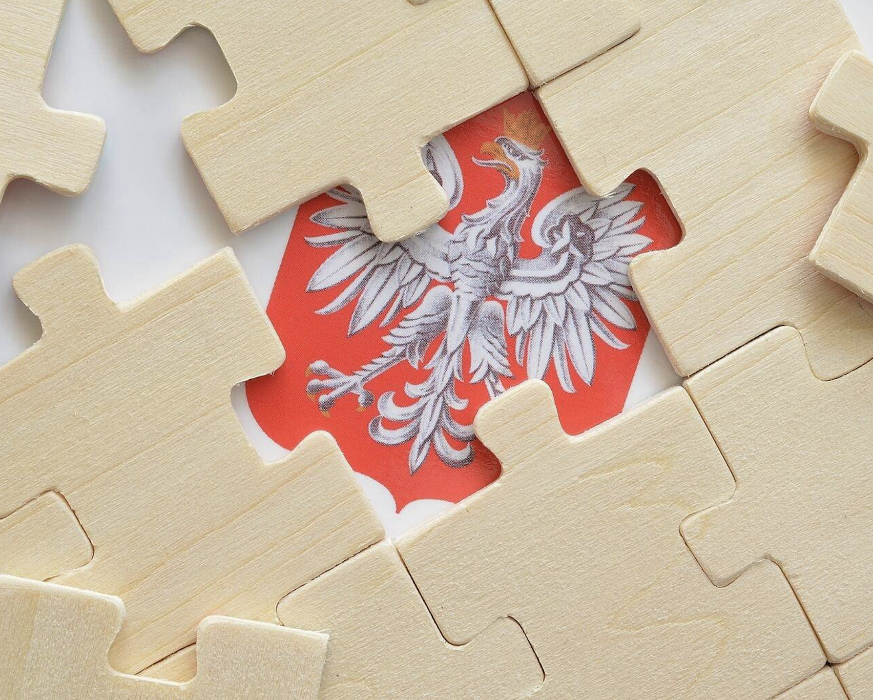 Obserwatorzy OBWE po II turze wyborów prezydenckich: podmioty trzecie udzielały wsparcia Rafałowi Trzaskowskiemu w sposób nietransparentny