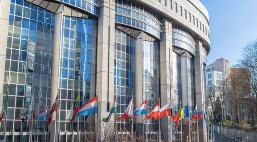 Godność ludzka jako podstawa międzynarodowego systemu praw człowieka. Ordo Iuris na World Youth Alliance Academy w Brukseli